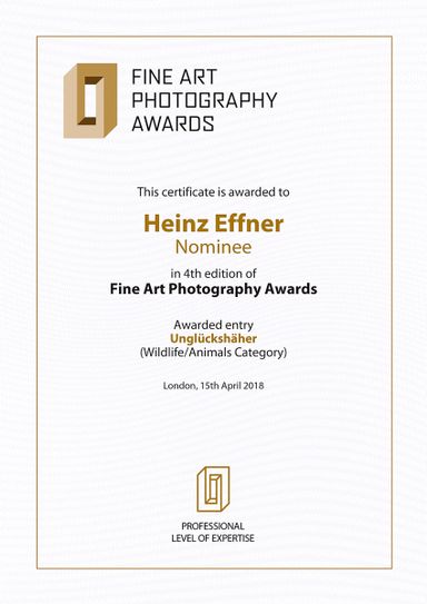 Auszeichnungen für künstlerische Fotografien - preisgekrönt und exklusiv 
