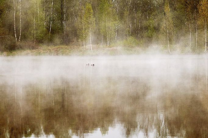 Künstlerische Fotografie - intuitiv - spirituell - exklusiv