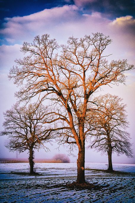 Prämierte künstlerische Naturfotografie - intuitiv - spirituell - exklusiv